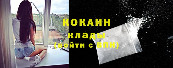 шишки Арсеньев