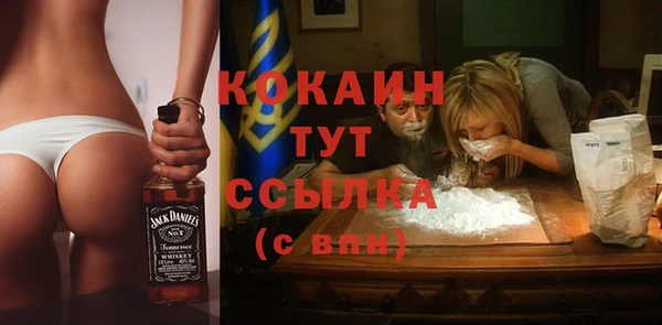 дживик Аркадак
