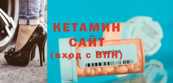 шишки Арсеньев