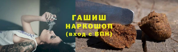 шишки Арсеньев