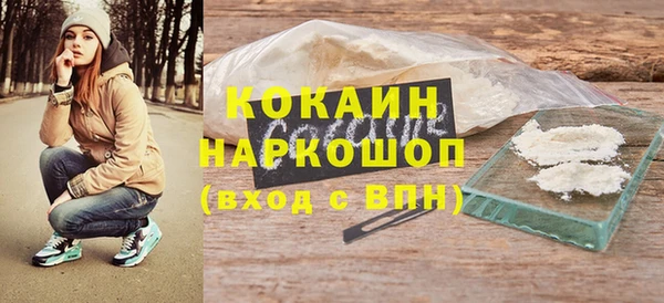 шишки Арсеньев