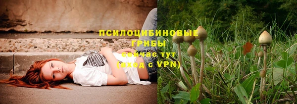 шишки Арсеньев