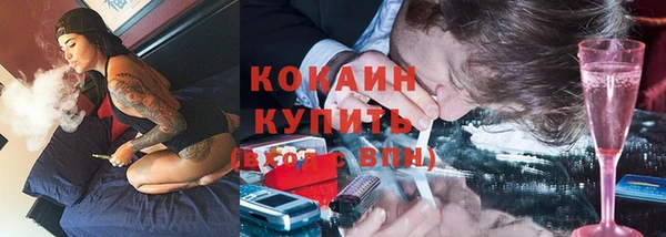 дживик Аркадак