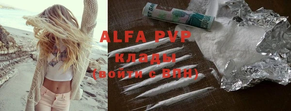 шишки Арсеньев