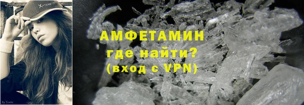 шишки Арсеньев