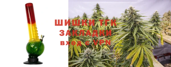 шишки Арсеньев